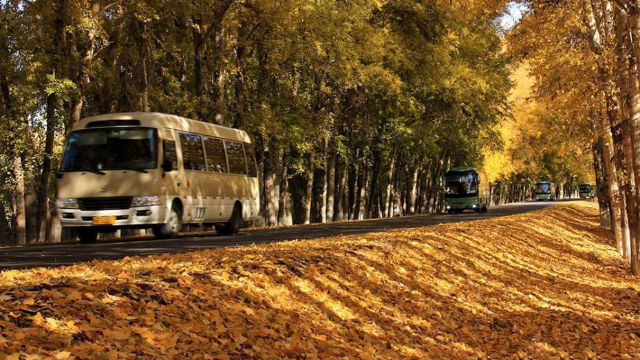新疆公路上的巴士(網絡圖片) 新疆公路上的巴士(網絡圖片)