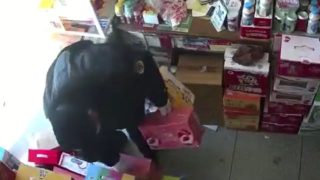 藉防疫濫權：警察毆打維權盲人　政府人員強搶店鋪商品